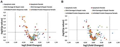 Transcriptomic Analysis of Intestinal Tissues from Two 90-Day Feeding Studies in Rats Using Genetically Modified MON810 Maize Varieties